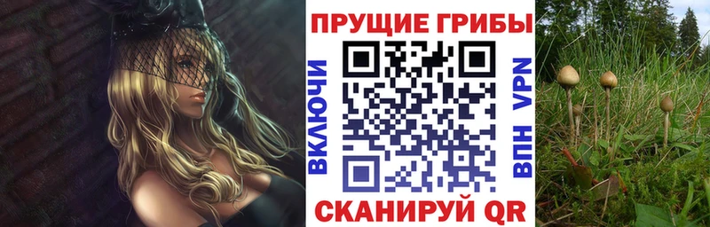 Купить где  Удачный  Псилоцибиновые грибы Magic Shrooms 